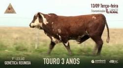 Lote 16