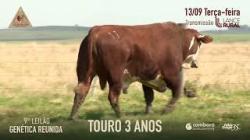 Lote 17