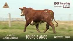 Lote 18