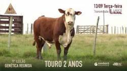 Lote 20