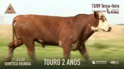 Lote 21