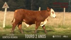 Lote 22