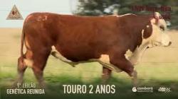 Lote 23