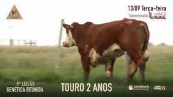 Lote 24