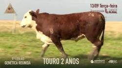 Lote 25