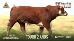 Lote 26
