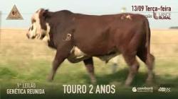 Lote 27