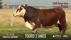 Lote 28
