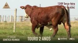 Lote 29