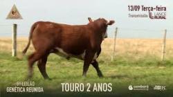 Lote 30