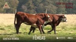 Lote 48