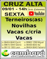 Gado Geral - Cruz Alta - RS