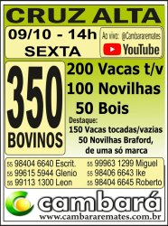 Gado Geral - Cruz Alta - RS