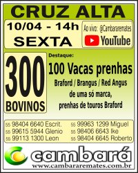 Gado Geral - Cruz Alta - RS