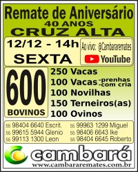 Gado Geral - Cruz Alta