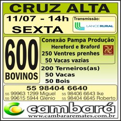 Gado Geral - Cruz Alta