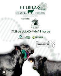 Leilao 4 Irmos
