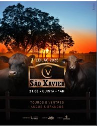Leilo So Xavier 2025