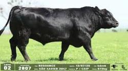lote 02 - 2807