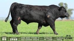 lote 05 - 2960