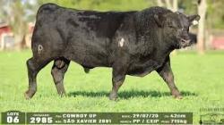 lote 06 - 2985