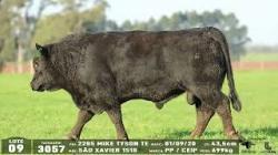 lote 09 - 3057