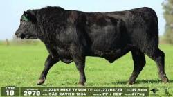 lote 10 - 2970