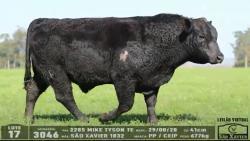 lote 17 - 3046