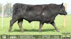 lote 18 - 3051