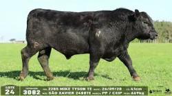 lote 24 - 3082