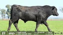 lote 27 - 2967