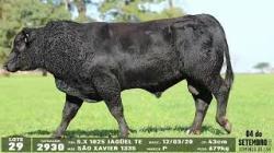 lote 29 - 2930