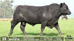 lote 39 - 8413TE