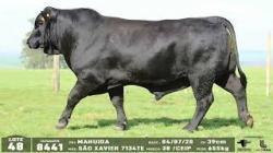 lote 48 - 8441