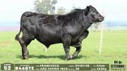 lote 52 - 8460TE