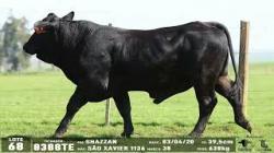 lote 68 - 8388TE