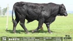lote 76 - 8482TE