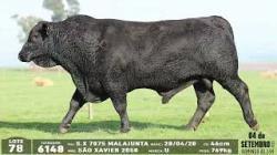 lote 78 - 6148