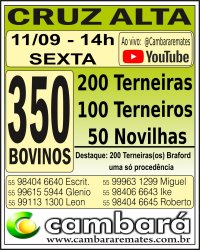 Gado Geral - Cruz Alta - RS