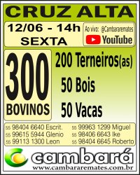 Gado Geral - Cruz Alta - RS
