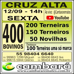 Gado Geral - Cruz Alta