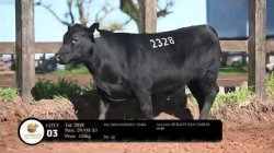 tat 2328
