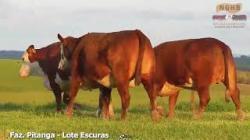 lote 14 - TAT: C026,D042,E047
