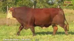 lote 32 - O152