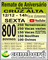 Gado Geral - Cruz Alta