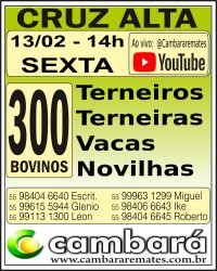 Gado Geral - Cruz Alta - RS