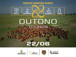Conex�o Pampa Outono Machos