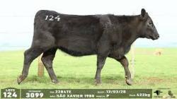 lote 124 - 3099