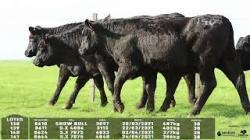 lote 138/139/140/141 - 8610 8611 8624 8644