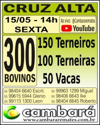 Gado Geral - Cruz Alta - RS